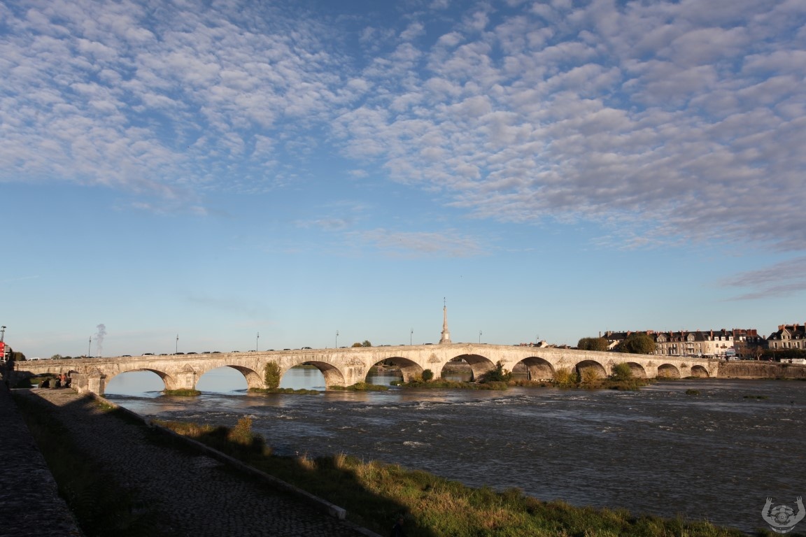 IMG_1608.JPG IMG_1608.JPG