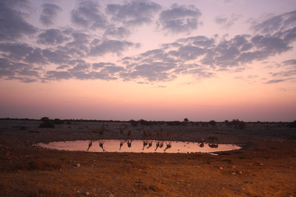 zonsondergang waterhole.JPG