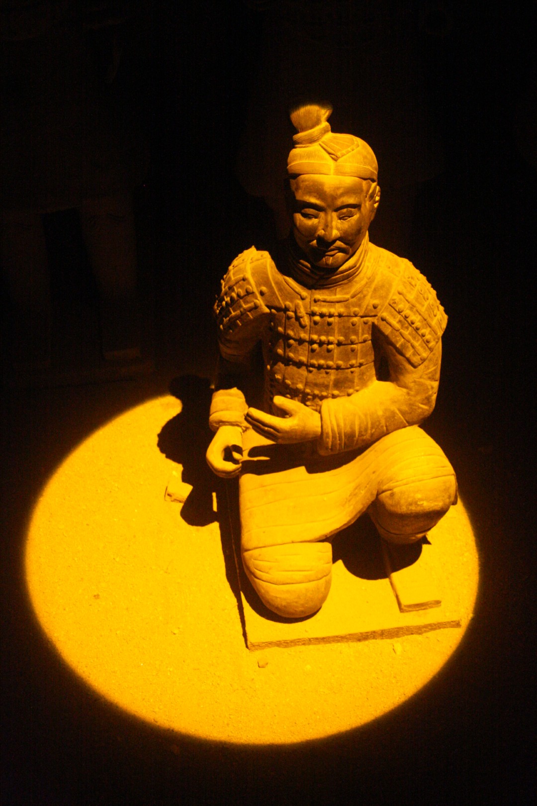 IMG_8583 (Large).JPG